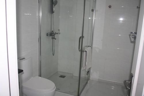 a bathroom with a shower and a toilet at In the heart of Colombo 2 Bedrooms Apartment in Colombo