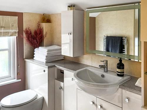 a bathroom with a sink and a toilet and a mirror at Mill View Cottage in West Stour