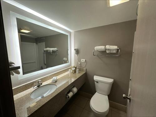 ein Badezimmer mit einem Waschbecken, einem WC und einem Spiegel in der Unterkunft Red Roof Inn Gurnee - Waukegan in Waukegan