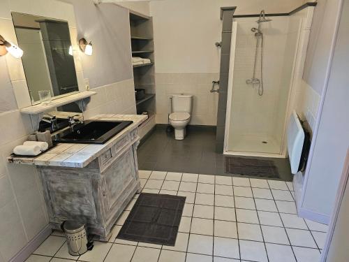 uma casa de banho com um lavatório, um chuveiro e um WC. em Chambre Voltaire em Saint-Sauveur-de-Cruzières
