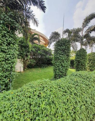 a garden with bushes and trees and a building at Dwarka Palace Luxury Hotel in Madurai
