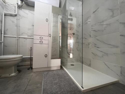 een badkamer met een douche en een toilet bij Appartement Saint-Jean-de-Luz, 1 pièce, 4 personnes - FR-1-239-858 in Saint-Jean-de-Luz