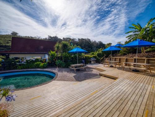 a backyard with a swimming pool and blue umbrellas at The Captains Motel in Russell