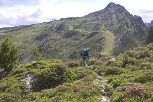 a person walking on a mountain trail at Hotel Andy 4 Sterne Superior in Jerzens