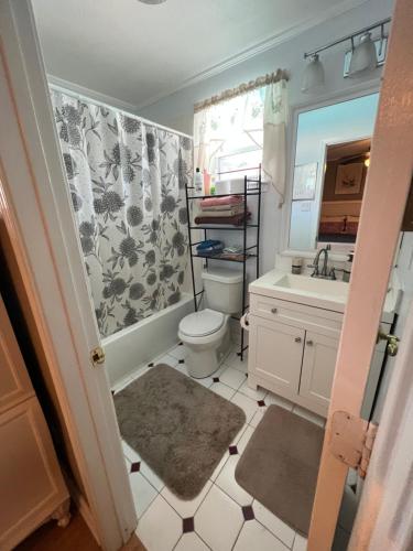 a bathroom with a toilet and a sink at Southern’s Beauty2 very close to airport in Kenner