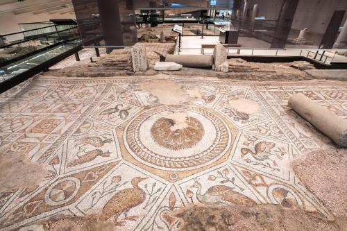 a mosaic floor in a museum with animals on it at Villa Flavia Heritage Boutique Hotel in Plovdiv