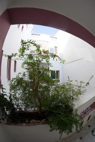an archway with a tree in front of a building at Igoumenitsa heart flats to let Mariasroom studios appart seaside-city Spyropoulos in Igoumenitsa
