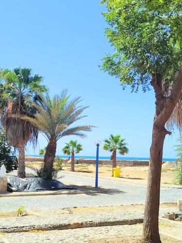 a row of palm trees on a beach with the ocean at Feeling Cabo Verde in Beirona
