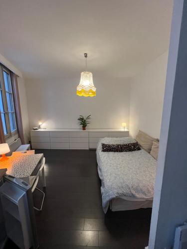 Joli studio zone piétonne