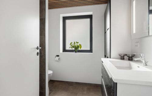 een badkamer met een wastafel, een toilet en een raam bij Awesome Home In Brenderup Fyn With Kitchen in Vedelshave
