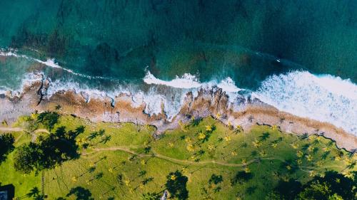 an aerial view of the ocean and a beach at El Hongo Finca Hostal / Camping in Capurganá