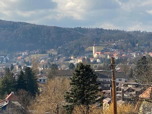 uma vista para uma cidade com uma montanha em Schönes Apartment mit Aussicht über Graz em Graz
