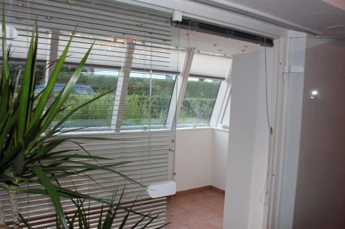 una camera con finestra con persiane e pianta di Guest RooM a Neumarkt in der Oberpfalz