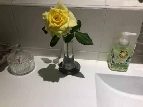 una rosa amarilla en un jarrón en el mostrador del baño en phoenixonkingbnb en Buderim