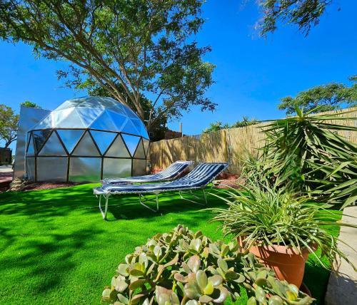 a yard with a tent and a hammock and plants at Finca AveStruz Noche mágica bajo las estrellas in San Isidro