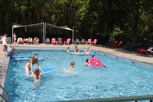 Πισίνα στο ή κοντά στο Holiday park Duinhoeve