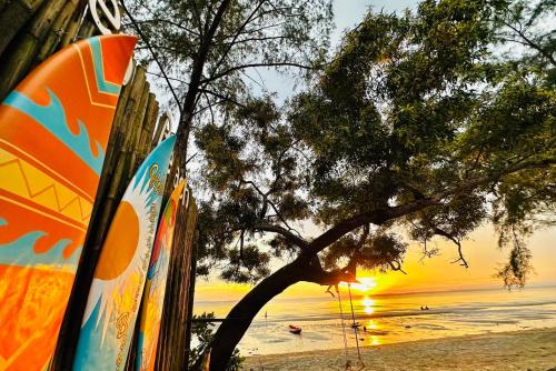 Naturlandskabet i nærheden af resortet