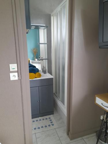 une salle de bain avec un lavabo et un miroir dans l'établissement Studio centre ville - La plage à 1 minute, à Royan