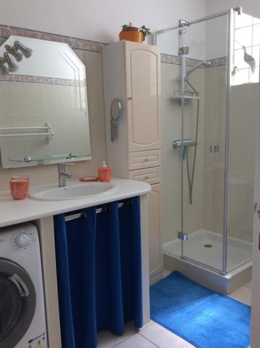 une salle de bain avec un lavabo et une machine à laver dans l'établissement Gîte de charme au Bono, au Bono