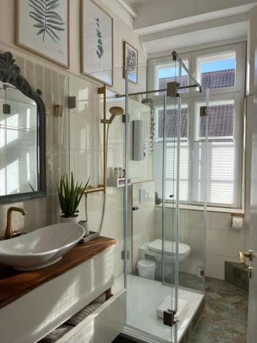 uma casa de banho com um lavatório e uma cabina de duche em vidro. em Lüneburg Zentral em Lüneburg