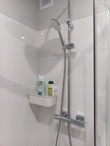 a bathroom with a shower with a glass door at Apartament Marzenie 1 i 2 by Apartamenty na dni Wrocław in Wrocław