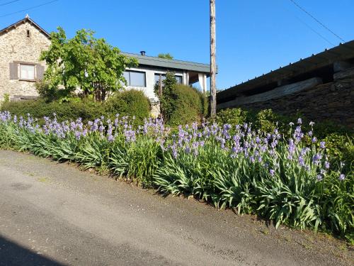Photo de la galerie de l'établissement Louradou-sur-Ciel, à Jouqueviel