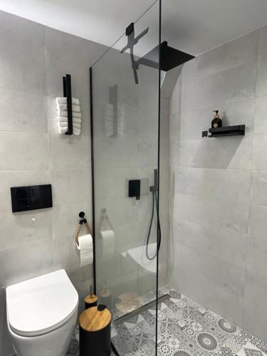 a bathroom with a toilet and a glass shower at HOME OF OLYMPOS STUDIO in Litochoro
