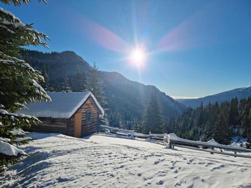 a cabin in the snow with the sun in the background at Bujtina Guesthouse Lojza in Peje