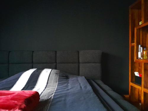 a bedroom with a bed with a gray head board at THE BLACKTAGON Cozy Room in Frankfurt