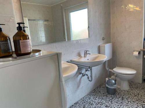 a bathroom with a sink and a toilet and a mirror at Cosy Home auf Zeit in Nürnberg
