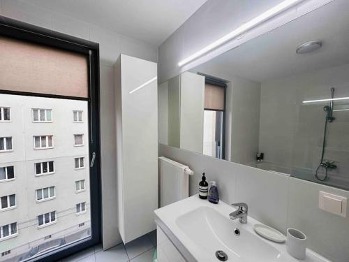 ein Badezimmer mit einem Waschbecken und einem großen Spiegel in der Unterkunft Comfortable living in our spacious home in Wien