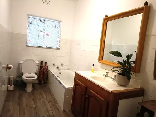 a bathroom with a toilet and a sink and a mirror at John Bauer Pottery Studio in Cape Town