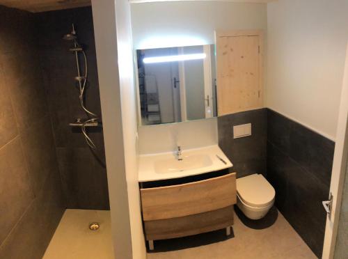 une salle de bain avec un lavabo et des toilettes dans l'établissement Lou Bigourdan, à Cauterets