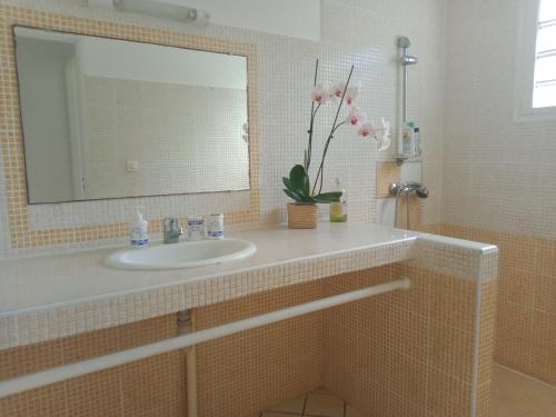 ein Bad mit einem Waschbecken und einem Spiegel in der Unterkunft Ti Kaz citron in Sainte-Rose
