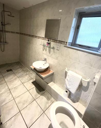 uma casa de banho com um WC e um lavatório em Aspen, Country Chalet located In Pegsdon em Hexton