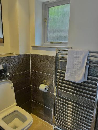 a bathroom with a toilet and a window at Beech, Country Chalet In Pegsdon in Hexton