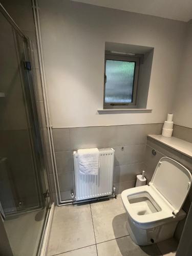 a bathroom with a toilet and a shower and a sink at Oak, Country chalet located in Pegsdon in Hexton