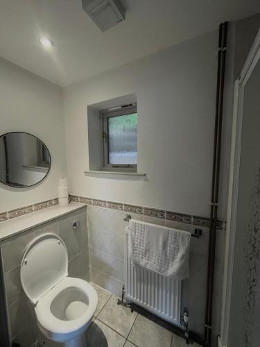 a bathroom with a toilet and a mirror at Pine, Country chalet located in Pegsdon in Hexton