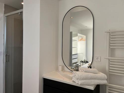 une salle de bain avec un lavabo avec un grand miroir dans l'établissement Appartement Standing 3ch 3SdB, à Toulouse