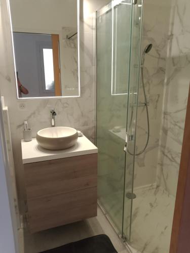 a bathroom with a sink and a glass shower at JOLI 2 PIECES SERRIERA in Serriera