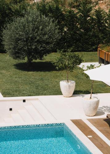 two potted trees sitting next to a swimming pool at Garden Recovery in Sveti Stefan