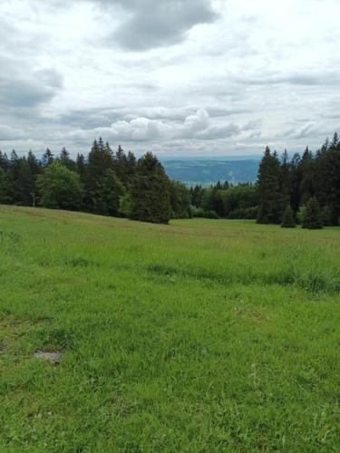 a field of green grass with trees in the background at Chata 2 na Poľane in Hriňová