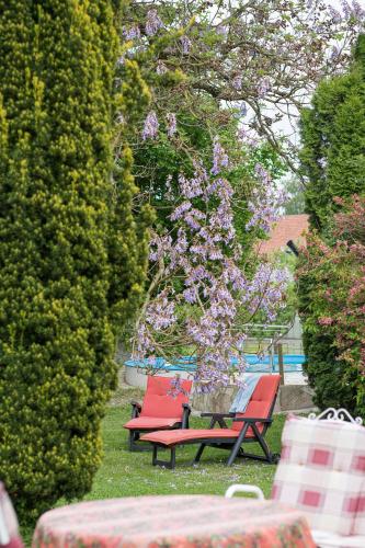 Jardín al aire libre en Bachäckerhof - Nichtraucherhotel-