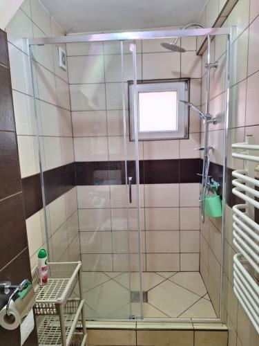 a shower with a glass door in a bathroom at Mieszkanie Dalia in Karwia