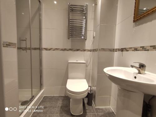 a bathroom with a toilet and a sink at Cosy Studio Flat in London