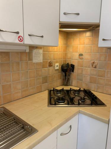 Cuisine ou kitchenette dans l'établissement Monte-Carlo