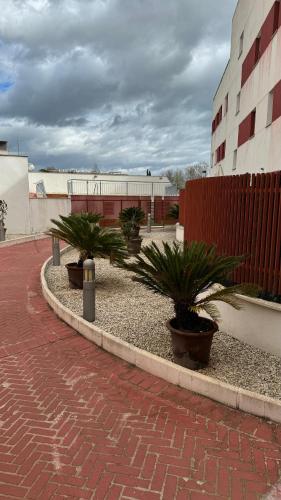 blue house cordoba