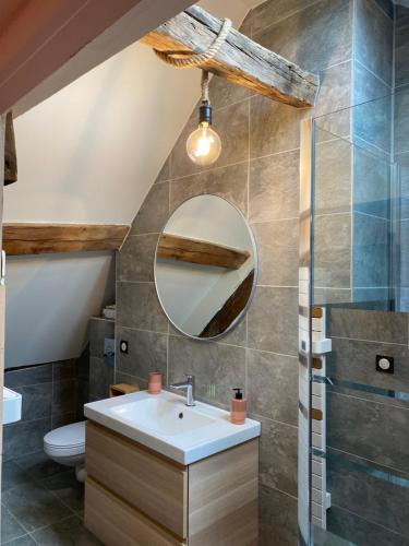 La salle de bains est pourvue d'un lavabo et d'un miroir. dans l'établissement Maison Authentique « Bleue Nuits », à Nuits-Saint-Georges