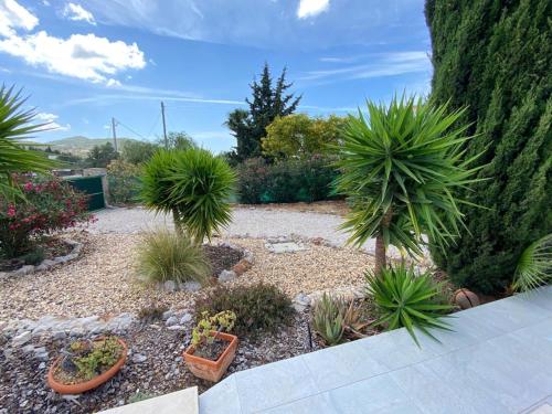 Un jardín fuera de Typical quiet Algarve cottage