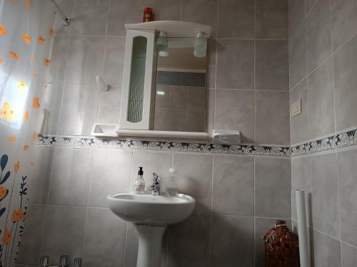 a bathroom with a sink and a mirror at Hospedaje Fliar En Gobernador Gregores in Gobernador Gregores